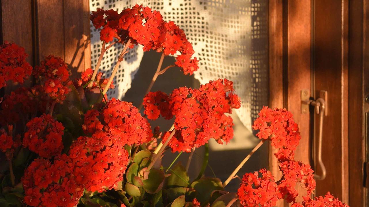 Anemos And Almyra Apartment Kini Екстериор снимка